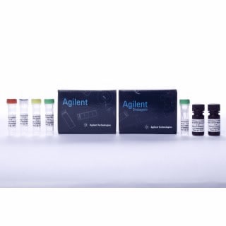qPCR NGS Library Quantification Kit